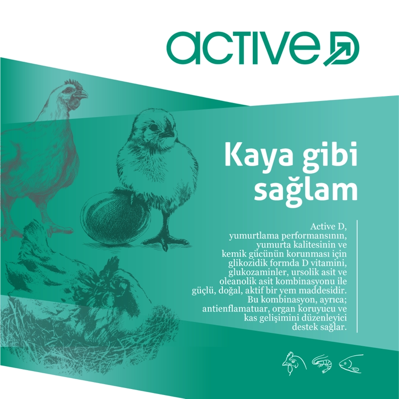 2-act-aciklama2artboard-6-2x-802