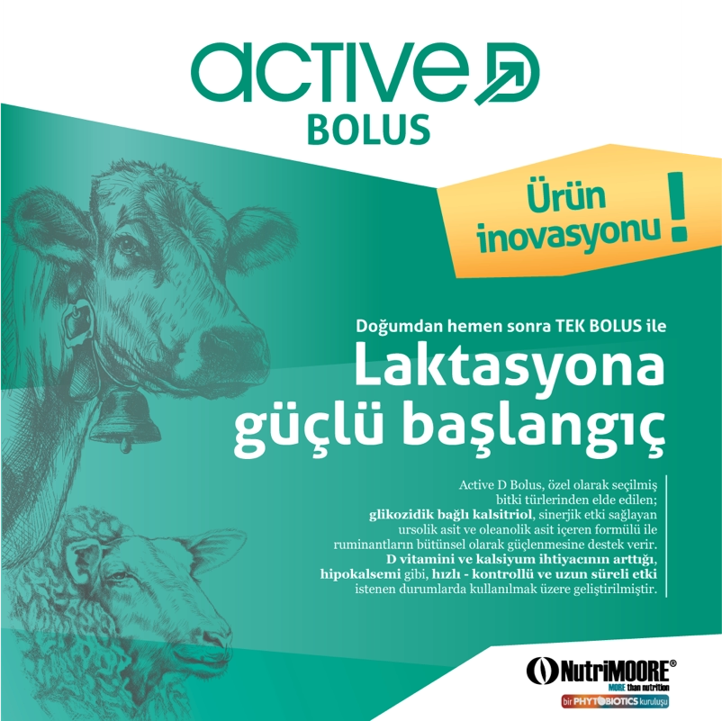 3-actb-aciklama2artboard-3-2x-802