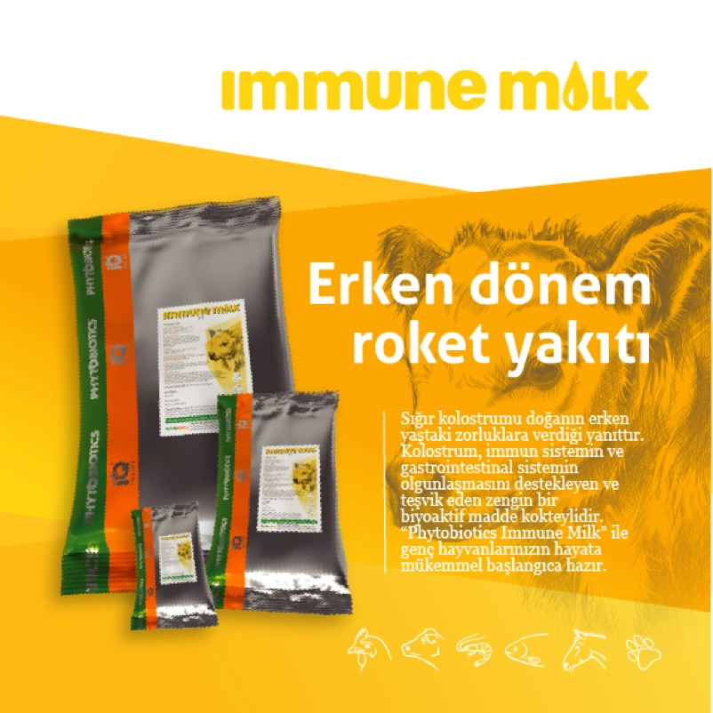 4-imm-web-artboard-5-copy_2-802