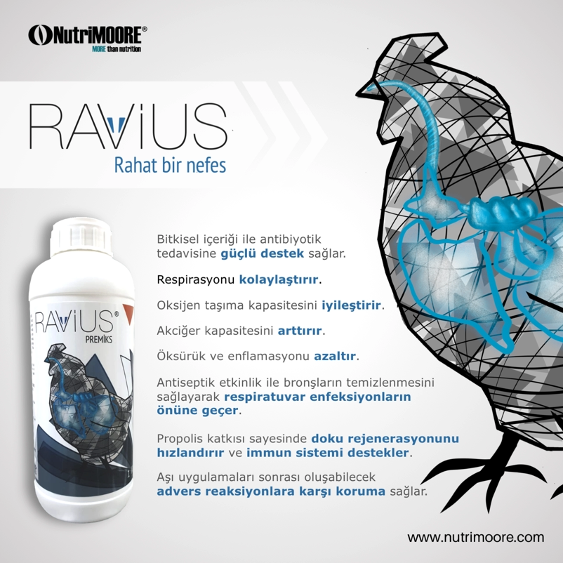 8-ravius-smm1-802